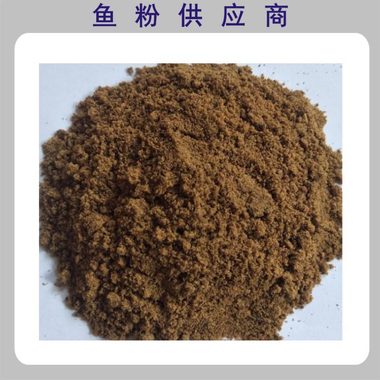 摩洛哥鱼粉68蛋白含量适合水产料养殖广州黄埔港批发零售