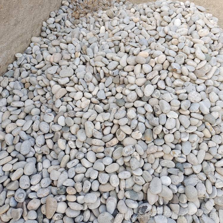 承德厂家供应园林铺路用鹅卵石机制鹅卵石杂色河卵石价格质量可靠