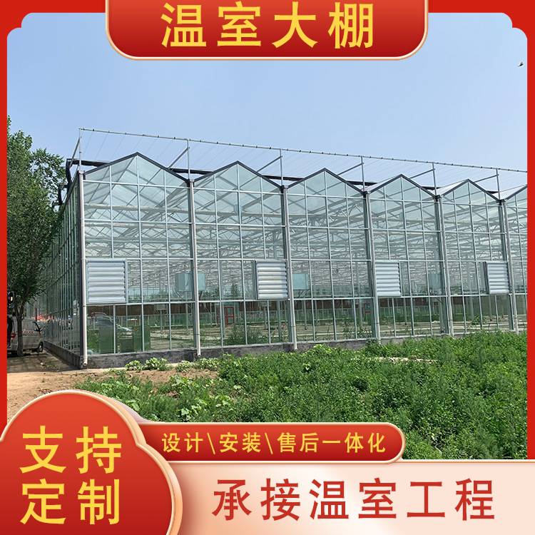 怀化会同草莓大棚制造蓝莓温室种植中科ZKHT-03