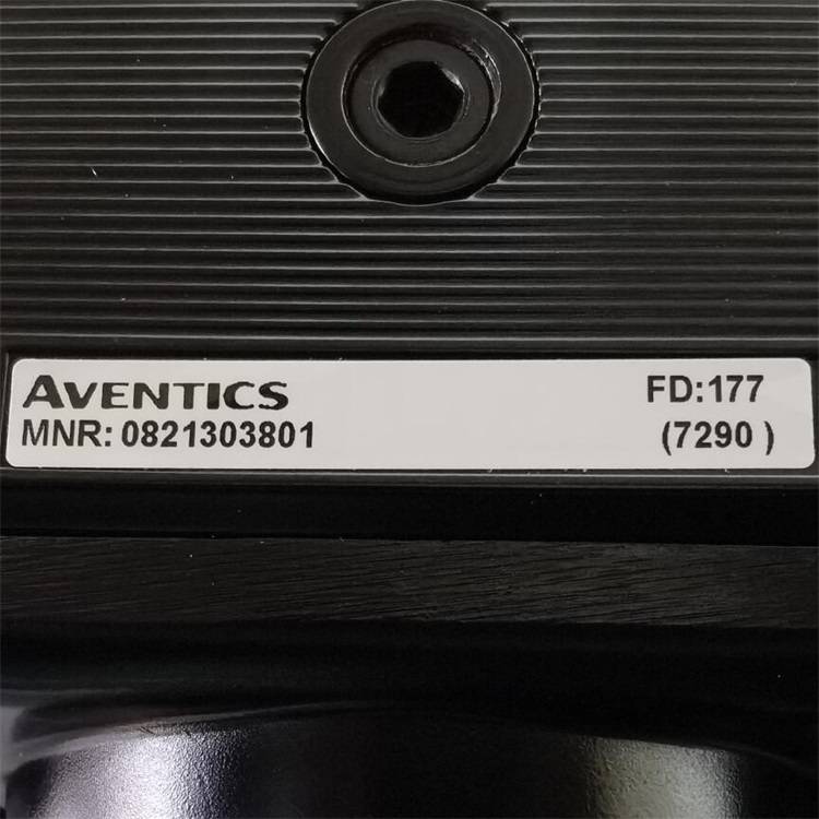 AVENTICS//0821303801//过滤器