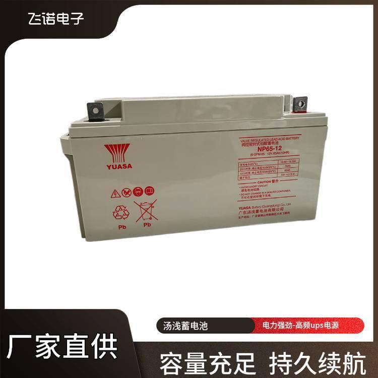 汤浅蓄电池NPL215-12铅酸固定型12V215AH参数型号及重量63KG
