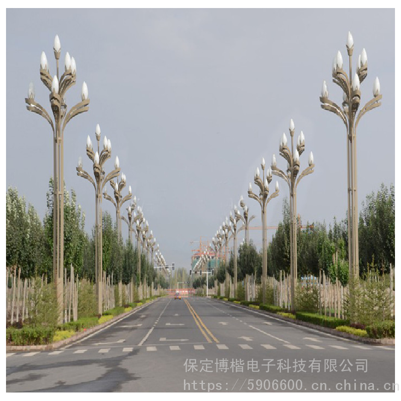 led8米10米广场道路户外景观路灯市政工程高杆玉兰灯