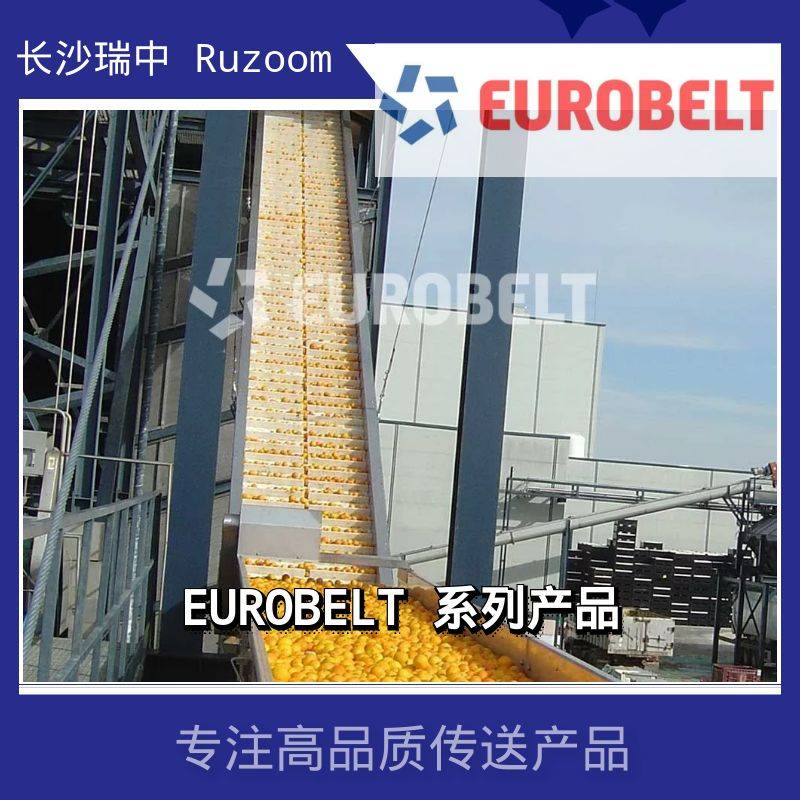 Euroblet果疏分极塑料模组网带同步传动输送平皮带