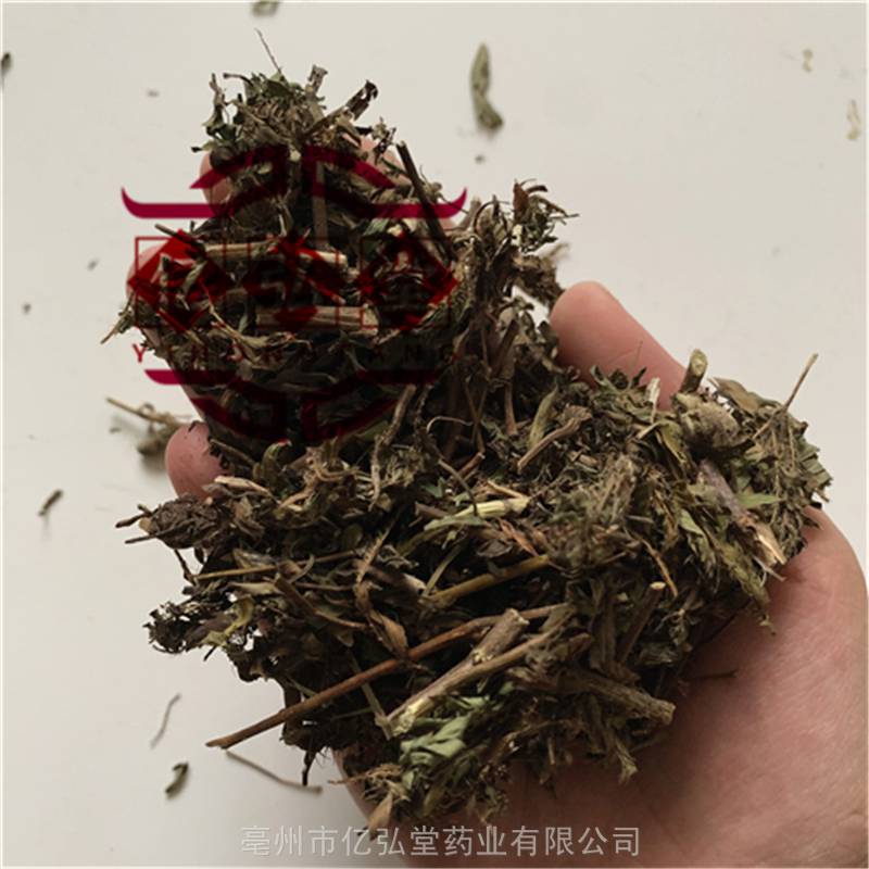 中药材含羞草价格多少钱一斤