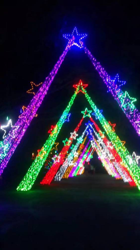 淮南 圣诞铁艺灯 滴胶鸡发光鸡 现货供应