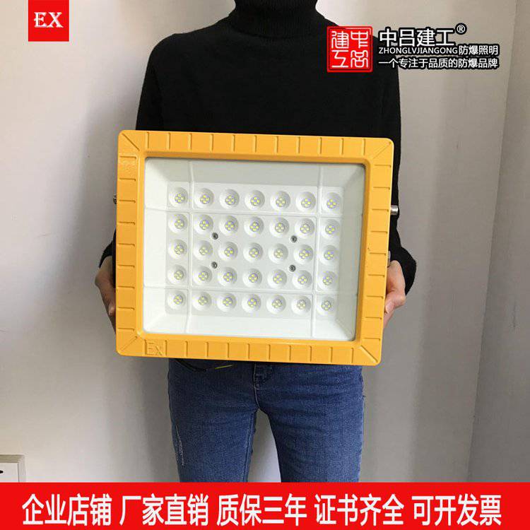 仓库LED防爆灯隔爆30W50瓦20W10W厂房车间应急照明防暴圆形吸顶灯