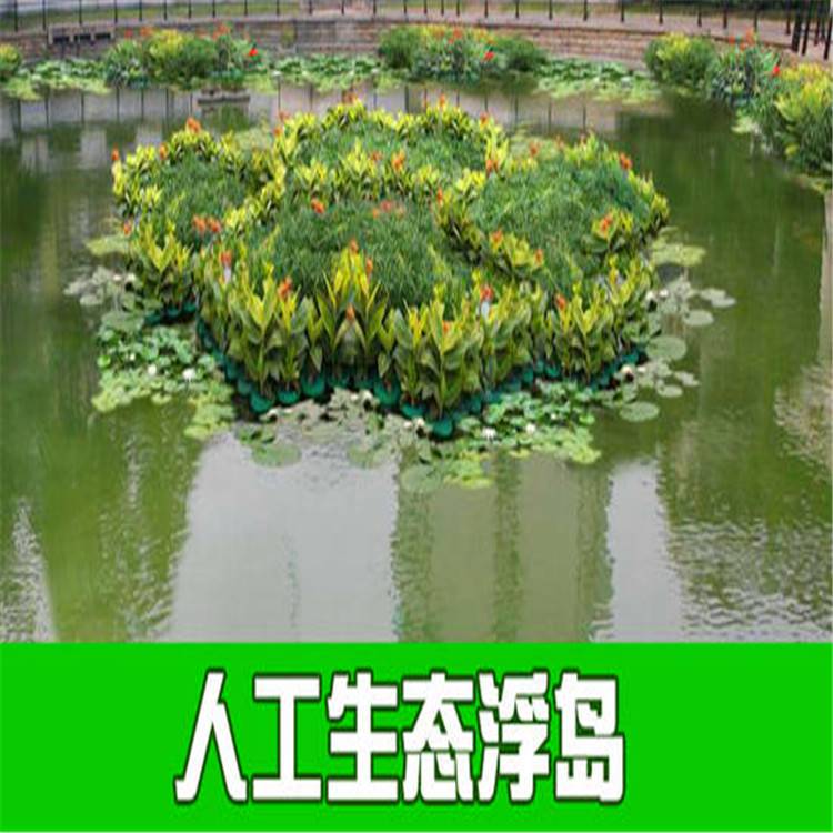 承接各种水生植物河道绿化沉水植物生态浮岛景观绿化工程