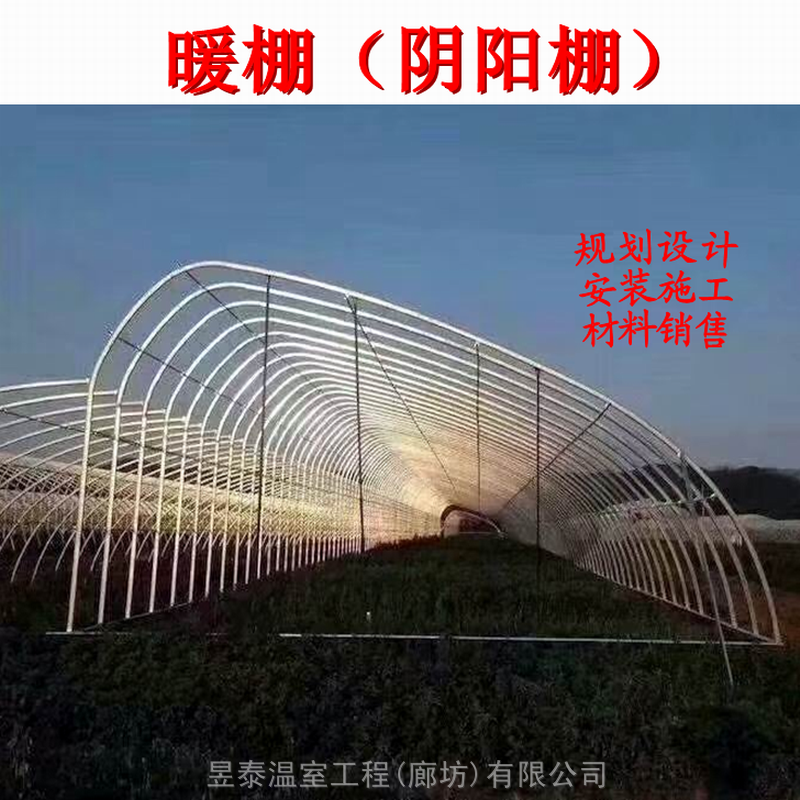 日光温室大棚阴阳棚蘑菇菌棚蔬菜薄膜大棚昱泰温室公司设计建造