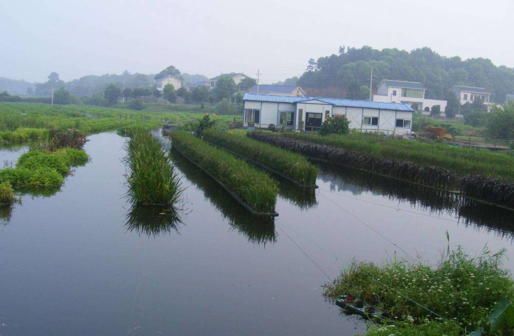 无锡市生态人工浮岛设计水体净化人工浮岛结构