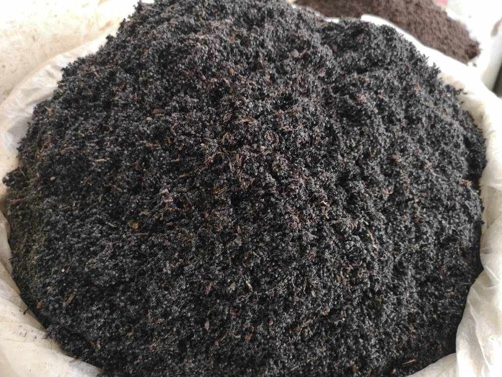 红蚂蚁多少钱一斤 红蚂蚁多少钱一斤活的