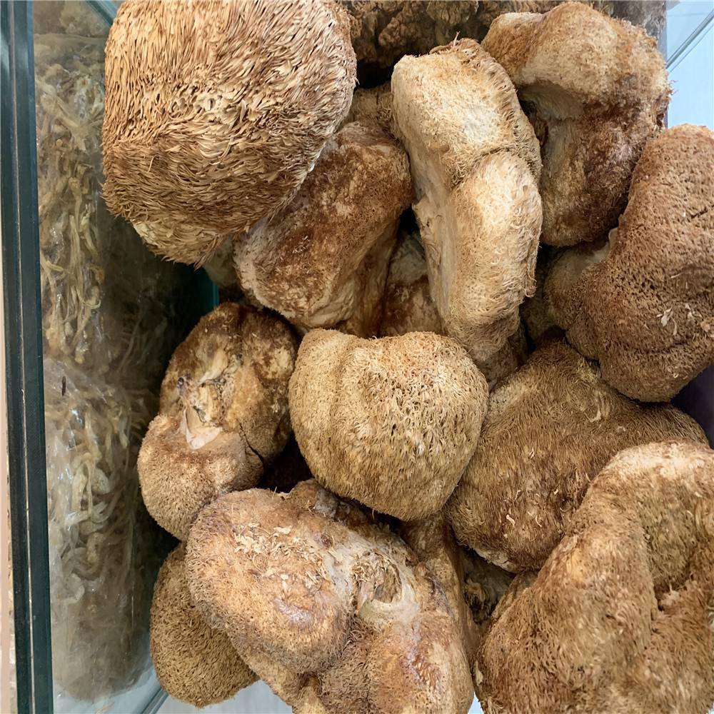 猴头菇批发的价格多少钱一公斤