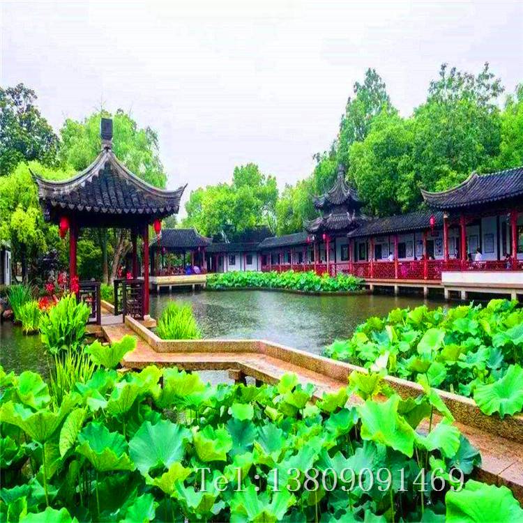 承接各种水生植物浮床河道绿化沉水植物生态浮岛景观绿化工程