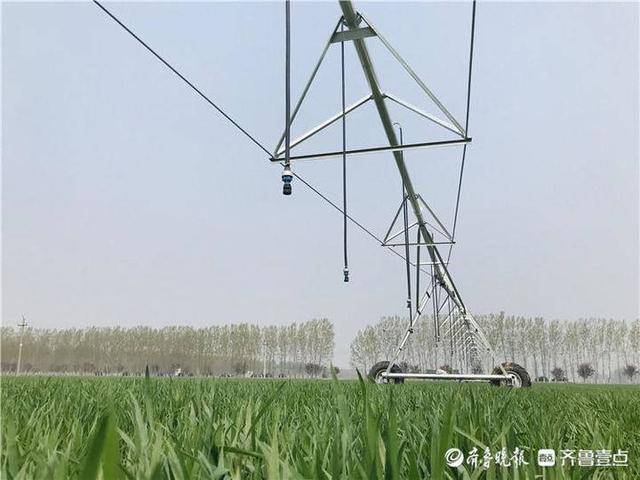 ”巨无霸“指针式喷灌机助力高标准农田
