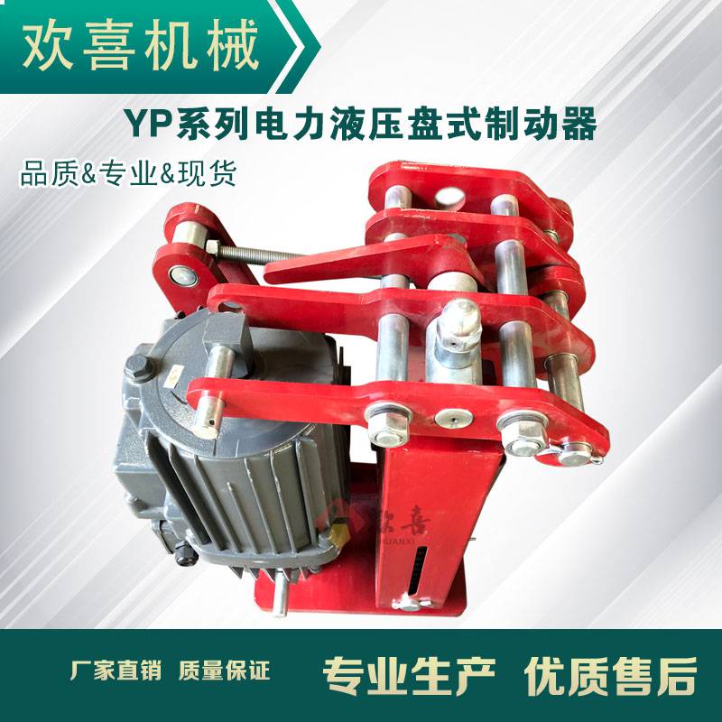 欢喜yp1Ed300-50电力液压盘式制动器