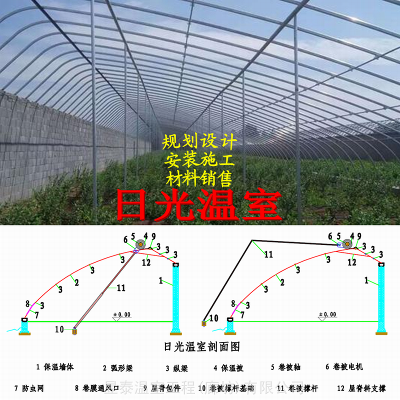 日光温室大棚几字钢大棚椭圆管大棚蔬菜大棚薄膜大棚昱泰温室材料建造