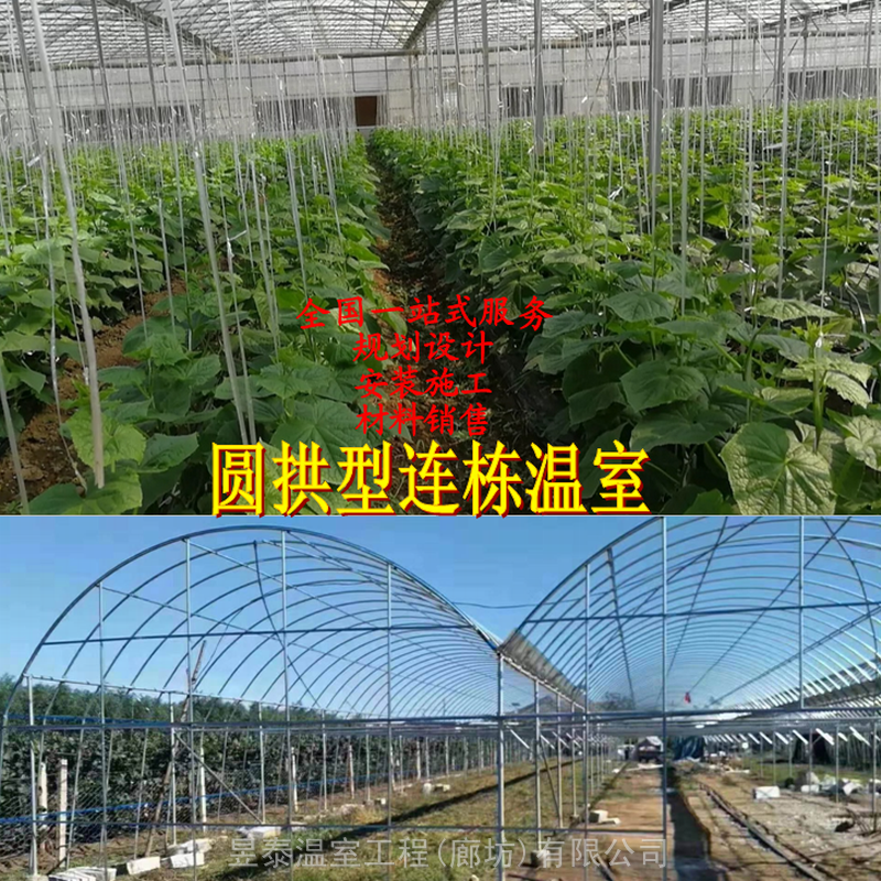 薄膜连栋拱棚智能阳光板温室蔬菜育苗大棚昱泰温室大棚材料施工设计