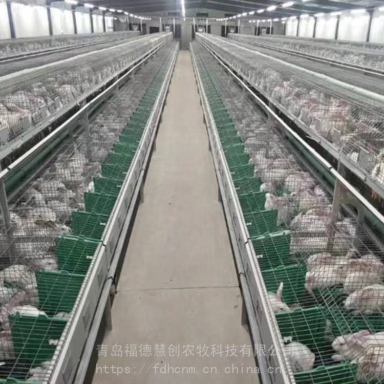 欧式双层繁殖自动或手动喂料内置产箱自动喂水笼具