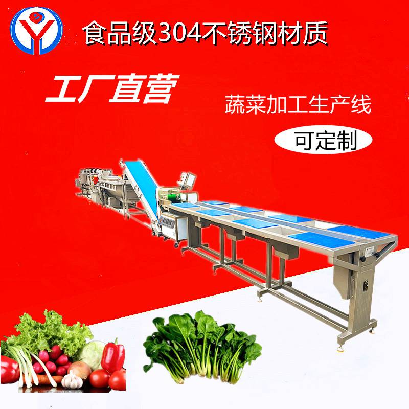 供应祥九瑞盈蔬菜加工生产线RY-4200103