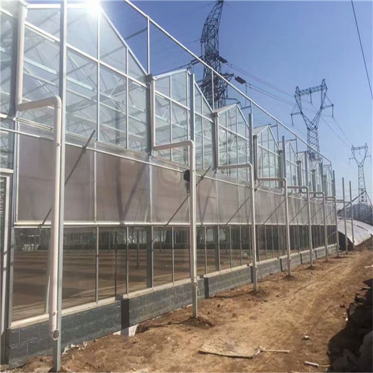 河南玻璃温室通风条件厂家迅速开拓市场的创新途径-欢迎咨询