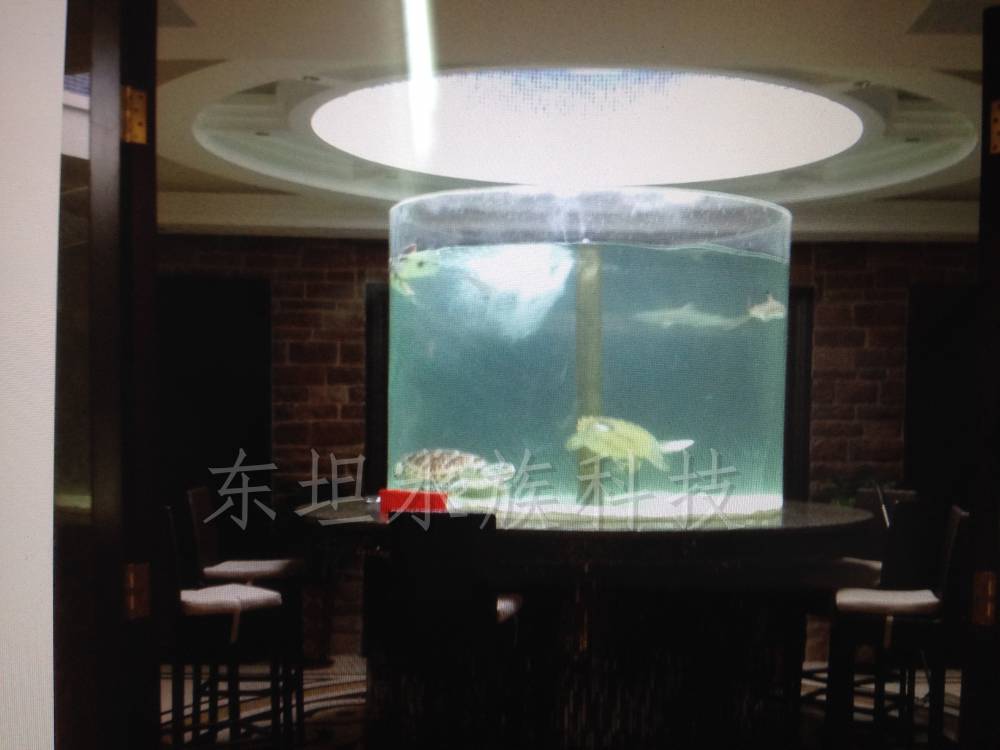南沙水草鱼缸工程南沙鱼缸配件广州水草鱼缸