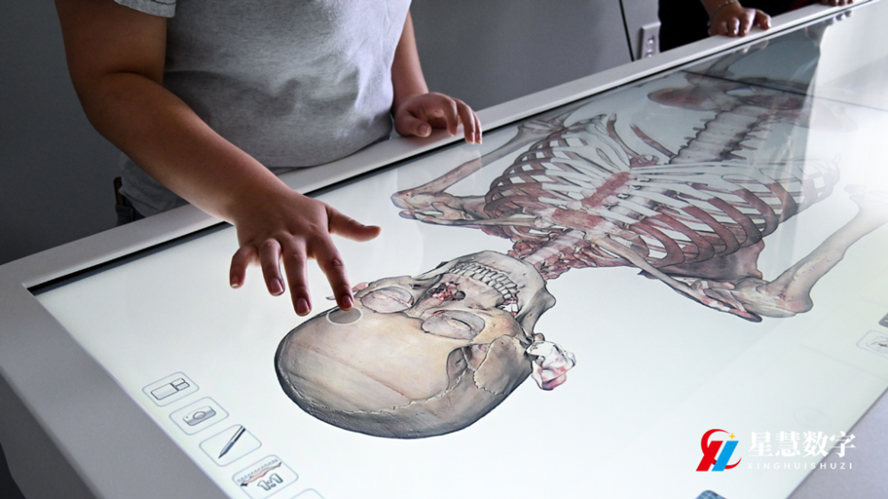 医学人体解剖vr教学平台 人体虚拟仿真教学软件