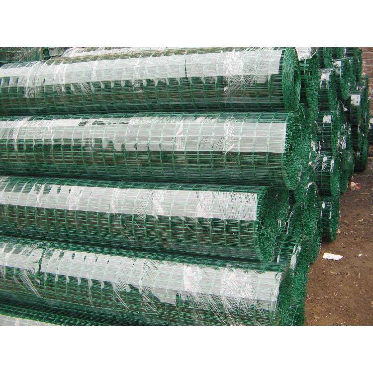 浸塑荷兰网绿色养殖围栏网安全防护铁丝网实体厂家