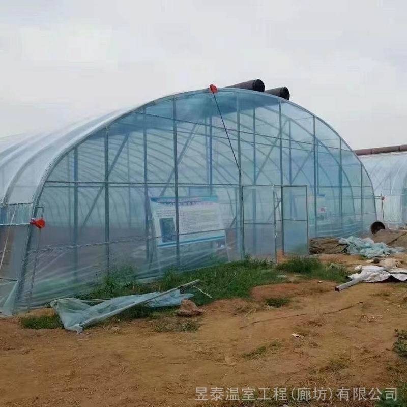 昱泰蔬菜种植棉被保温全钢骨架暖棚温室大棚YTWSNP0075