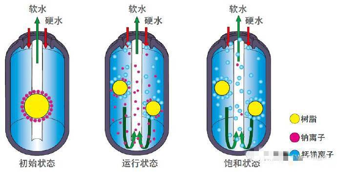离子交换树脂示意图图片
