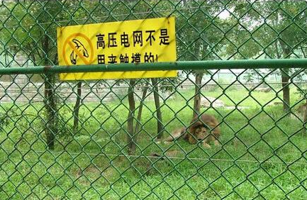 动物园围栏网A佛山动物园定制猩猩围栏网