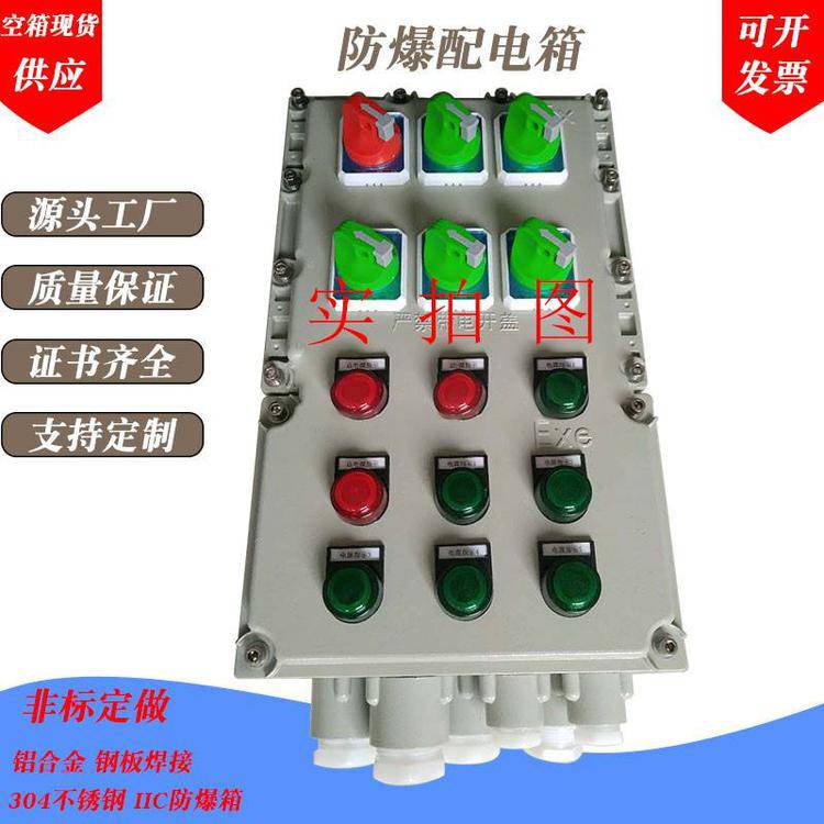 防爆配电箱 BXX防爆检修配电箱 防爆动力检修箱 非标定做