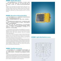 厂家直销长方型LED防爆灯/正白免维护LED灯/24W/品质保证