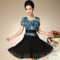 中老年连衣裙2014夏季新款 中老年女装大码妈妈装雪纺连衣裙