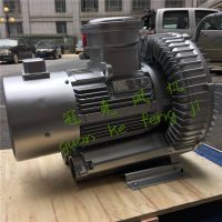 Siemens/西门子沼气输送风机 5.5kw防爆变频高压鼓风机 旋涡式风机 直流气泵