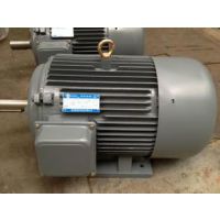 供应三相异步电机Y200L2-2