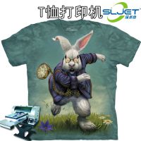 深龙杰T恤服装印花打印机 取代传功工艺 赚钱机器 小本创业项目