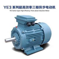 专业电机生产厂家YE3-3551-2 355KW/380V