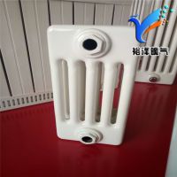专业供应钢制柱形暖气片 5025钢制暖气片 钢五柱暖气片