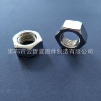 现货供应 镀锌六角螺母 m20外六角螺母 高强度螺母 可加工定制