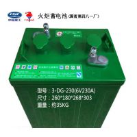 火炬蓄电池3-DG-210 游览观光车电池6V210Ah 淄博电瓶