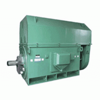 供应西安西玛电机YKK系列(H355-1000)6KV/10KV高压三相异步电动机