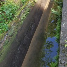 天津污水处理池施工缝堵漏方案