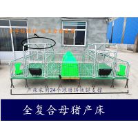 新型母猪产床 双体复合猪用产床 保育床小猪用床
