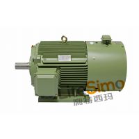 泰富西玛变频电机YJTG/YVFE290S-4 1.1KW 380V低压全系列供货
