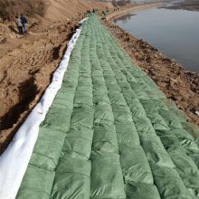 40*80cm涤纶生态袋规格 河道护坡绿化