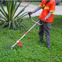 2026年8月第8届尼日利亚世界农业博览会