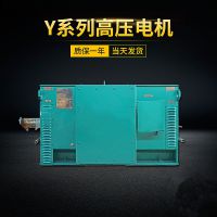 供应西玛电机 Y3552-2 250KW 6KV IP23 高压电机 泰富西玛 原西安电机厂