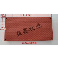 复合电热板猪用母猪产床保育床BMC育肥板仔猪电热板