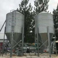 微观高质量开展丨一粒种子里的“粮食安全”