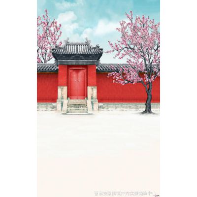 全家福古装影楼主题摄影背景 新年 中国红喜庆