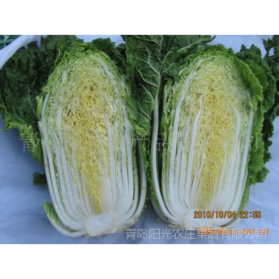 几月份种黄心白菜 3_431_45154_800_600.jpg